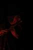 20111123_depart_du_serpent_a_plume43.JPG
