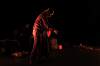 20111123_depart_du_serpent_a_plume48.JPG
